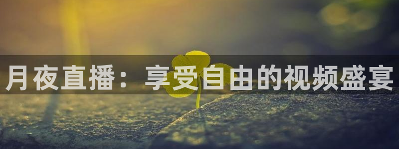 河豚nba直播：月夜直播：享受自由的视频盛宴