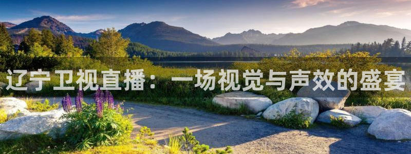 河豚面：辽宁卫视直播：一场视觉与声效的盛宴